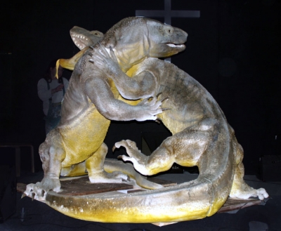 Komodowaranzweikampf Höhe: ca. 2 Meter Material: Styropor Papier  Kunststoff Stoffarbe